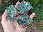 Natural Botryoidal Crystalline Malachite Specimens x 12 From Tenke Fungurume, Congo - Toprock Gemstones and Minerals 