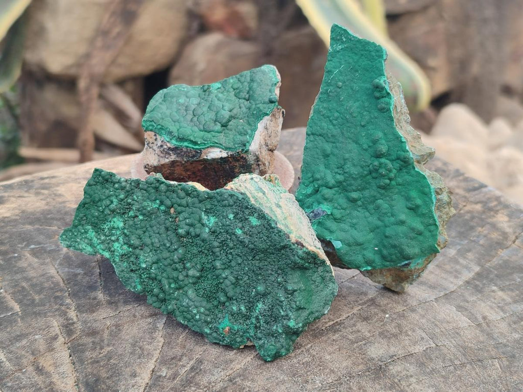 Natural Botryoidal Crystalline Malachite Specimens x 12 From Tenke Fungurume, Congo - Toprock Gemstones and Minerals 