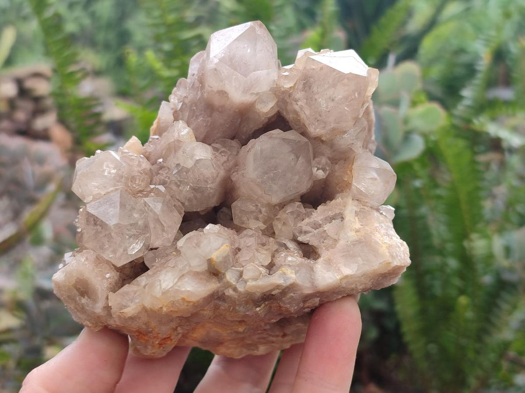 Natural White Phantom Cascading Smokey Luena Quartz Clusters x 2 From Luena, Congo - Toprock Gemstones and Minerals 