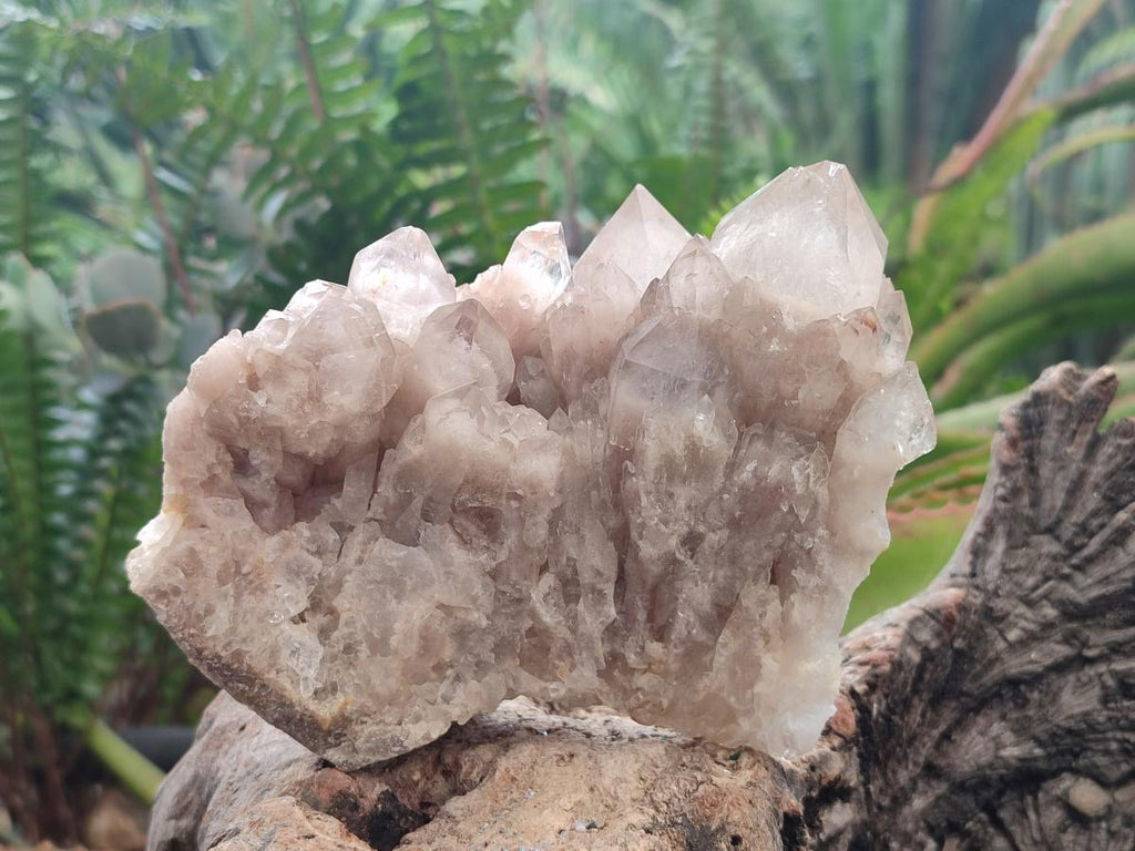 Natural White Phantom Cascading Smokey Luena Quartz Clusters x 2 From Luena, Congo - Toprock Gemstones and Minerals 