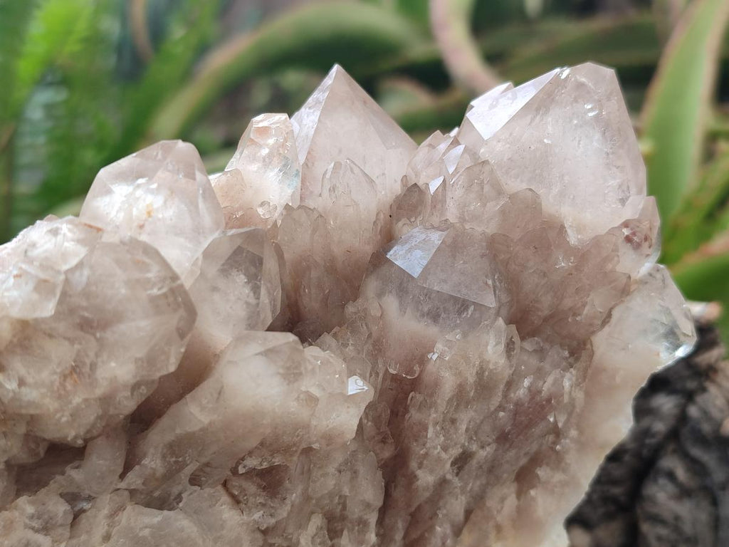 Natural White Phantom Cascading Smokey Luena Quartz Clusters x 2 From Luena, Congo - Toprock Gemstones and Minerals 