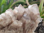 Natural White Phantom Cascading Smokey Luena Quartz Clusters x 2 From Luena, Congo - Toprock Gemstones and Minerals 