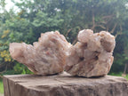 Natural White Phantom Cascading Smokey Luena Quartz Clusters x 2 From Luena, Congo - Toprock Gemstones and Minerals 