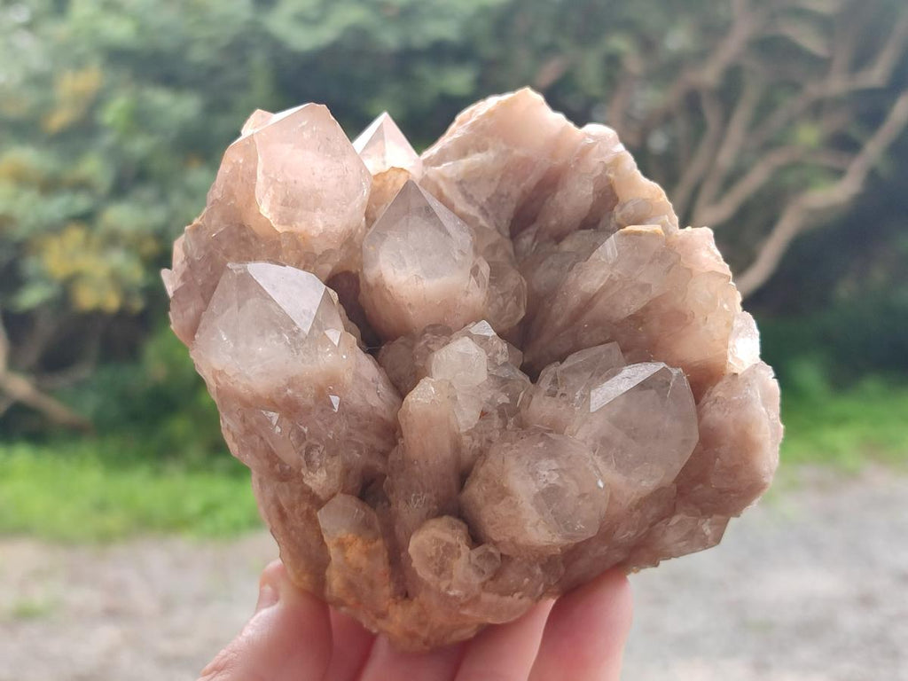 Natural White Phantom Cascading Smokey Luena Quartz Clusters x 2 From Luena, Congo - Toprock Gemstones and Minerals 