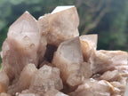 Natural White Phantom Cascading Smokey Luena Quartz Clusters x 2 From Luena, Congo - Toprock Gemstones and Minerals 