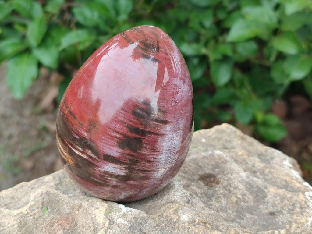 Polished Red Podocarpus Petrified Wood Eggs x 2 From Mahajanga, Madagascar - Toprock Gemstones and Minerals 