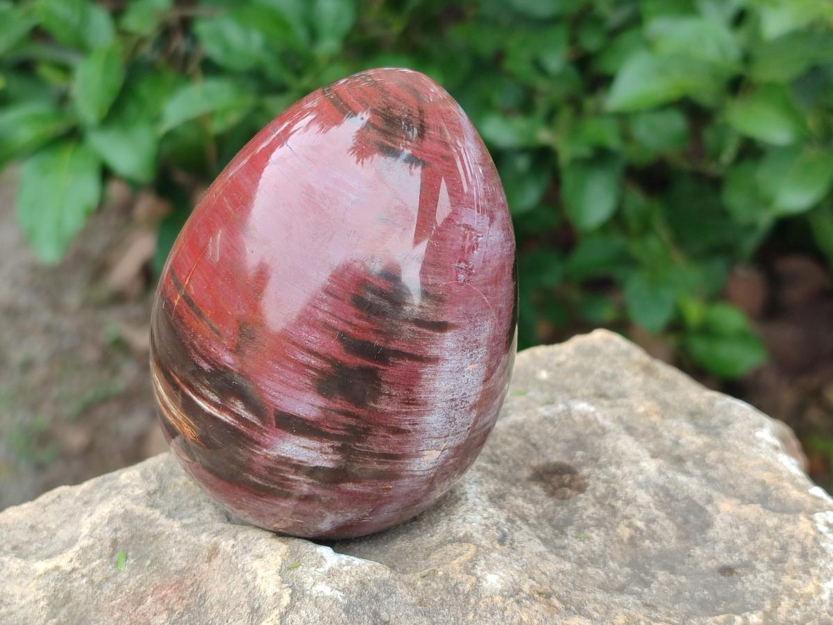 Polished Red Podocarpus Petrified Wood Eggs x 2 From Mahajanga, Madagascar - Toprock Gemstones and Minerals 