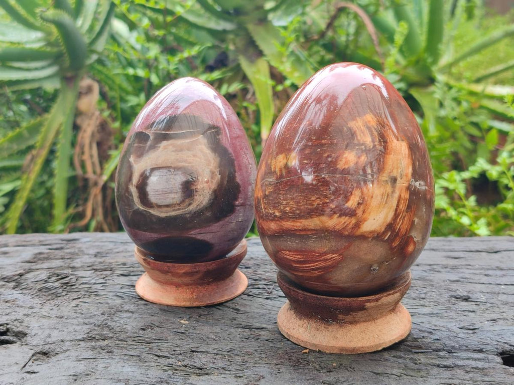 Polished Red Podocarpus Petrified Wood Eggs x 2 From Mahajanga, Madagascar - Toprock Gemstones and Minerals 