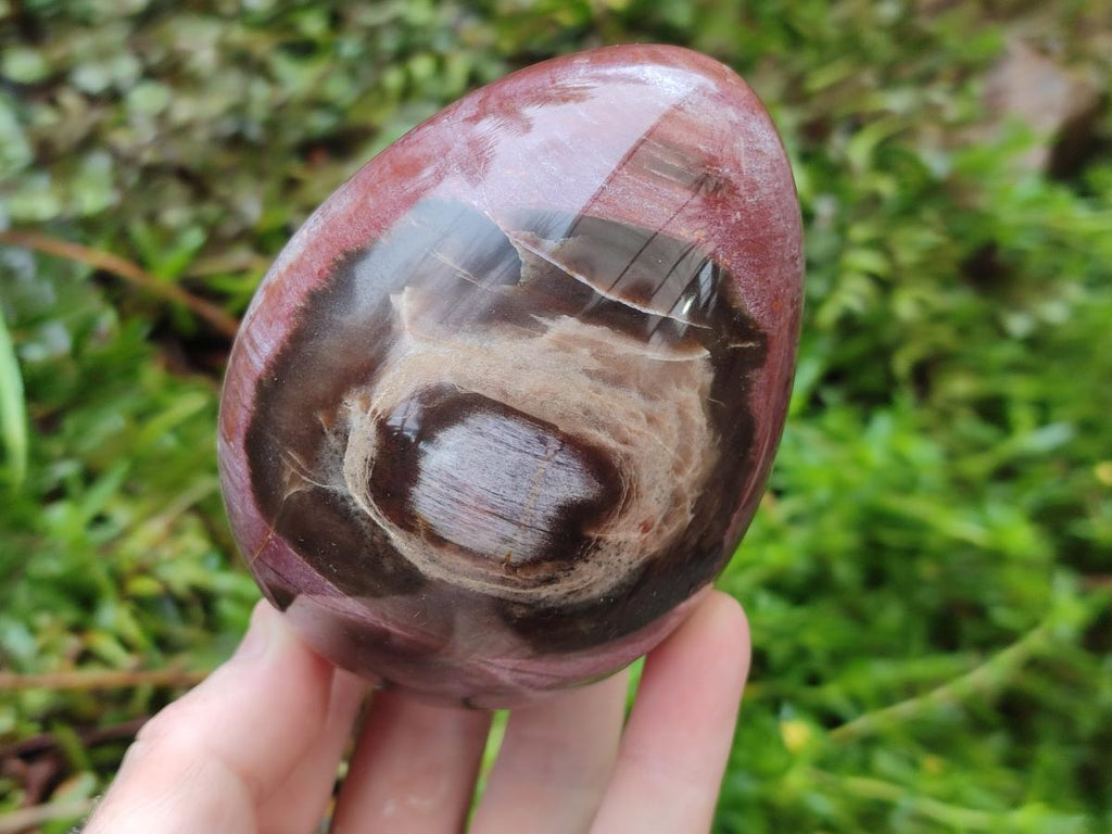Polished Red Podocarpus Petrified Wood Eggs x 2 From Mahajanga, Madagascar - Toprock Gemstones and Minerals 