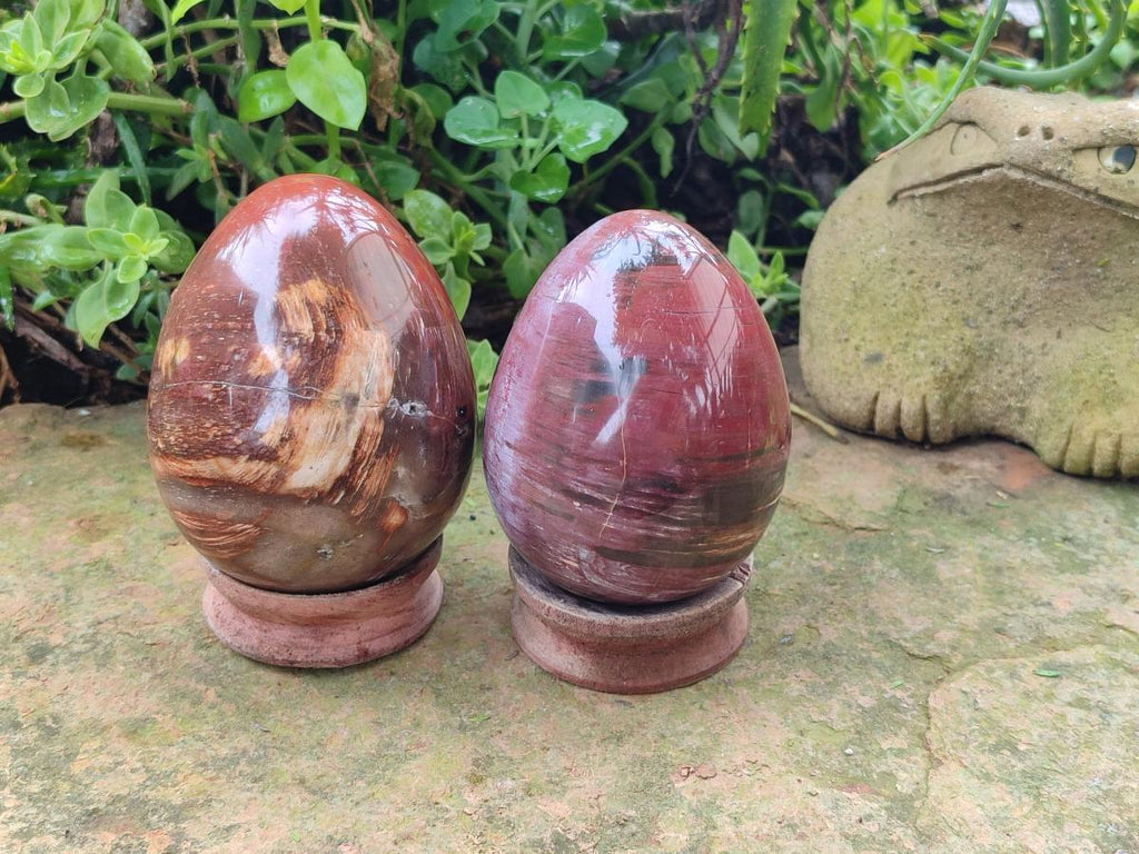 Polished Red Podocarpus Petrified Wood Eggs x 2 From Mahajanga, Madagascar - Toprock Gemstones and Minerals 