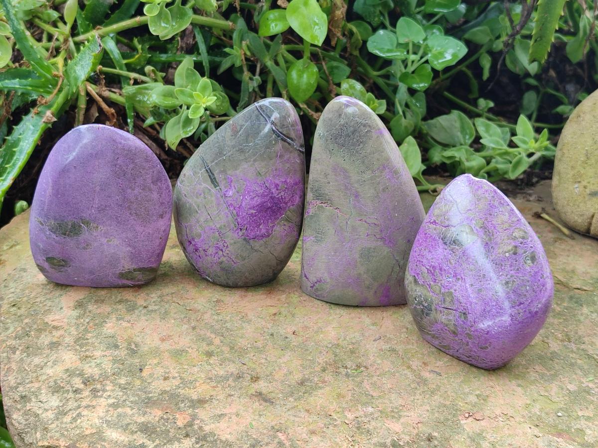 Polished Stichtite Standing Free Forms x 6 From Barberton, South Africa - Toprock Gemstones and Minerals 