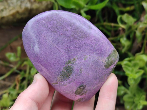 Polished Stichtite Standing Free Forms x 6 From Barberton, South Africa - Toprock Gemstones and Minerals 