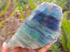 Polished Watermelon Fluorite Slices x 3 From Uis, Namibia - Toprock Gemstones and Minerals 