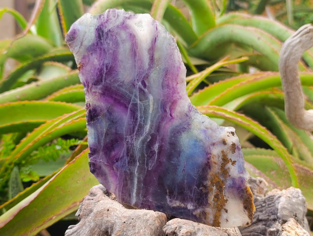Polished Watermelon Fluorite Slices x 3 From Uis, Namibia - Toprock Gemstones and Minerals 