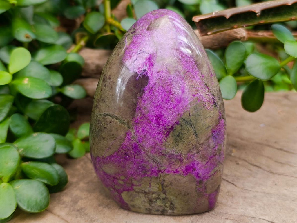 Polished Stichtite Standing Free Forms x 2 From Barberton, South Africa - Toprock Gemstones and Minerals 
