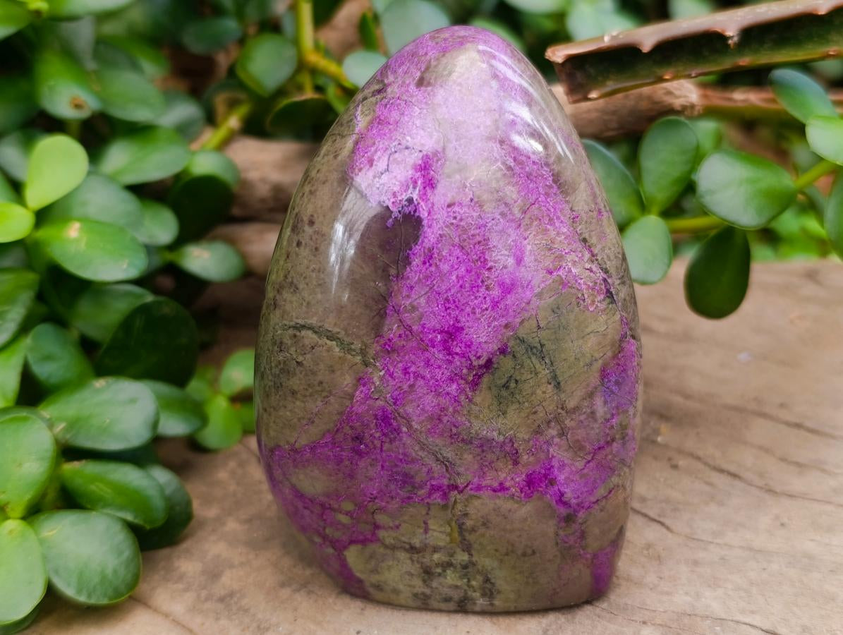 Polished Stichtite Standing Free Forms x 2 From Barberton, South Africa - Toprock Gemstones and Minerals 
