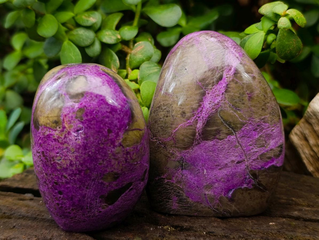 Polished Stichtite Standing Free Forms x 2 From Barberton, South Africa - Toprock Gemstones and Minerals 