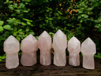 Polished Gemmy Rose Quartz Crystal Sceptres x 6 From Madagascar - Toprock Gemstones and Minerals 