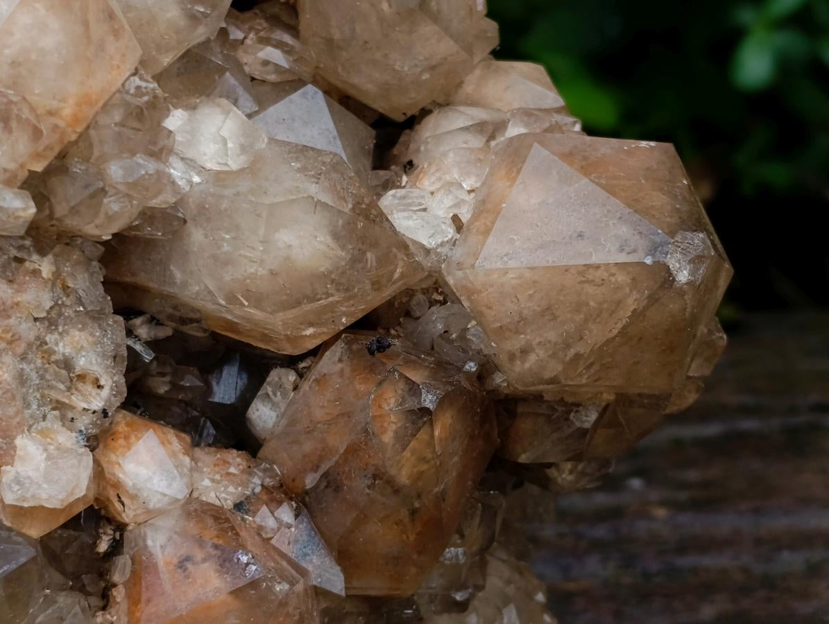 Natural Large Phantom Cascading Smokey Luena Quartz Cluster x 1 From Luena, Congo - Toprock Gemstones and Minerals 
