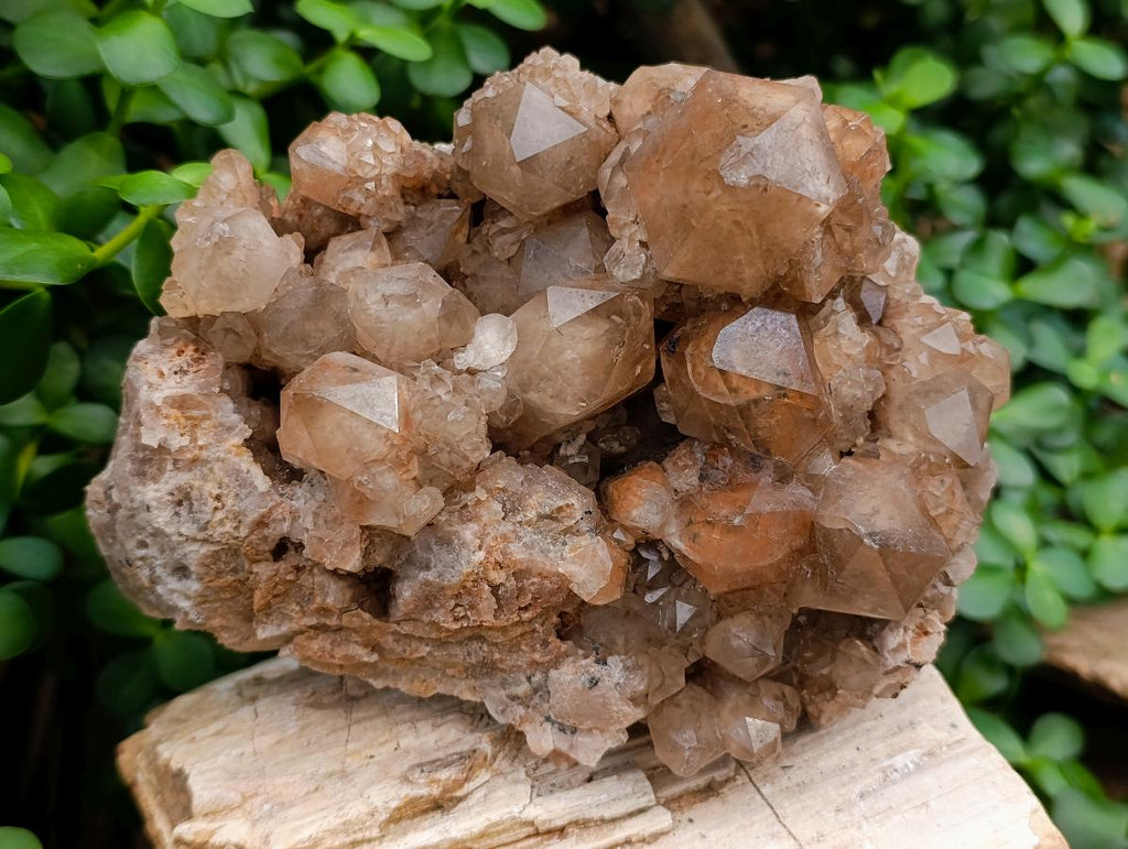 Natural Large Phantom Cascading Smokey Luena Quartz Cluster x 1 From Luena, Congo - Toprock Gemstones and Minerals 