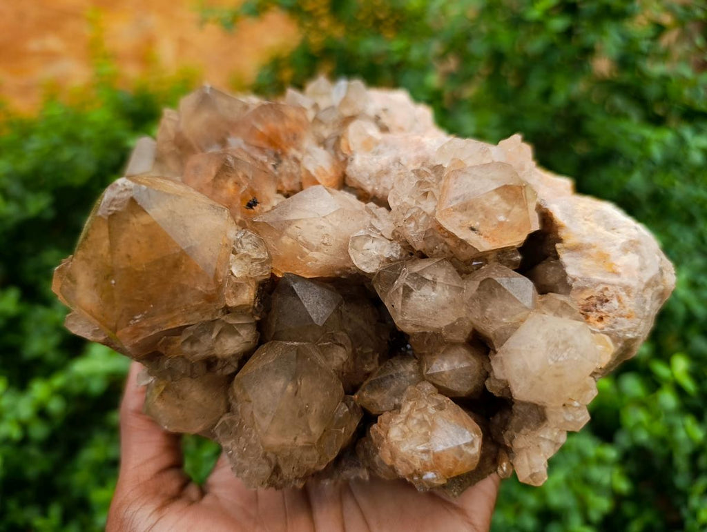 Natural Large Phantom Cascading Smokey Luena Quartz Cluster x 1 From Luena, Congo - Toprock Gemstones and Minerals 