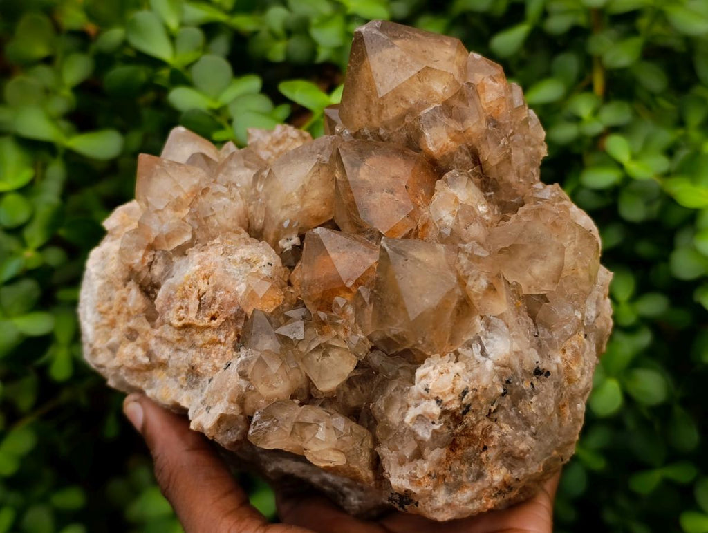 Natural Large Phantom Cascading Smokey Luena Quartz Cluster x 1 From Luena, Congo - Toprock Gemstones and Minerals 