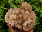 Natural Large Phantom Cascading Smokey Luena Quartz Cluster x 1 From Luena, Congo - Toprock Gemstones and Minerals 