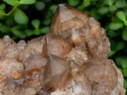 Natural Large Phantom Cascading Smokey Luena Quartz Cluster x 1 From Luena, Congo - Toprock Gemstones and Minerals 