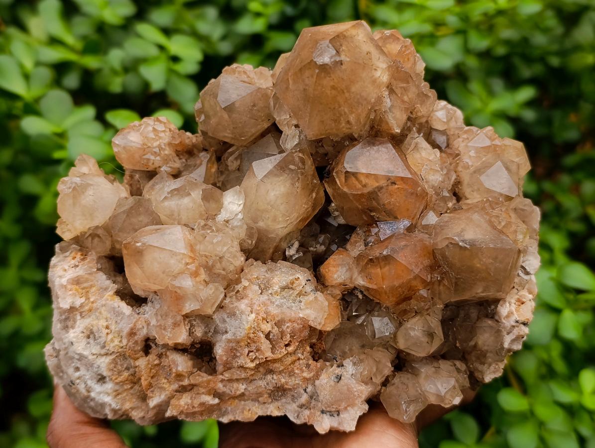 Natural Large Phantom Cascading Smokey Luena Quartz Cluster x 1 From Luena, Congo - Toprock Gemstones and Minerals 