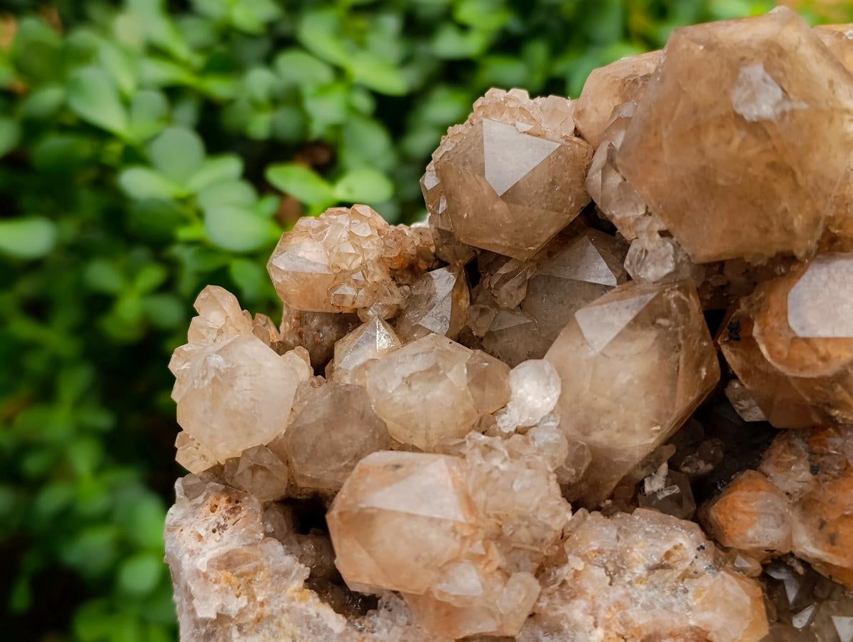 Natural Large Phantom Cascading Smokey Luena Quartz Cluster x 1 From Luena, Congo - Toprock Gemstones and Minerals 