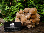 Natural Large Phantom Cascading Smokey Luena Quartz Cluster x 1 From Luena, Congo - Toprock Gemstones and Minerals 