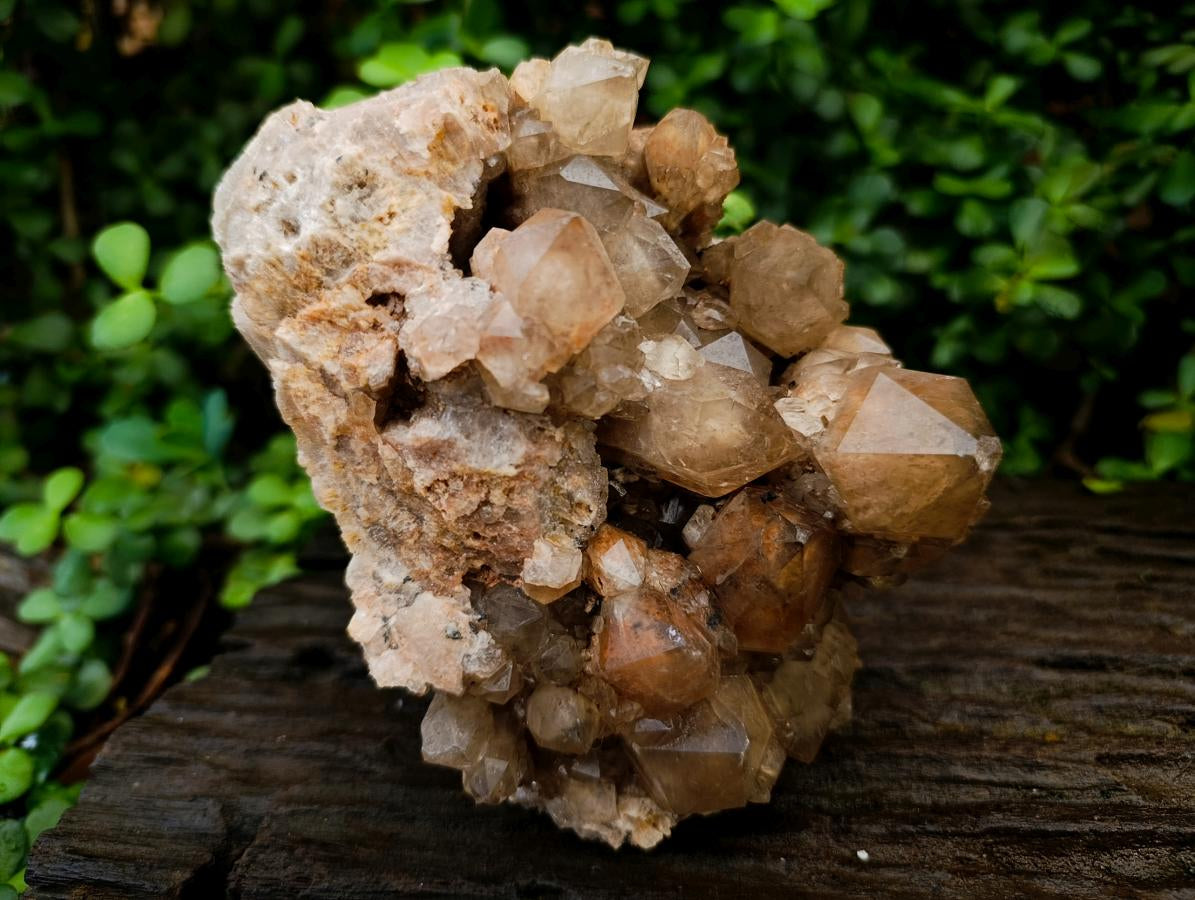 Natural Large Phantom Cascading Smokey Luena Quartz Cluster x 1 From Luena, Congo - Toprock Gemstones and Minerals 