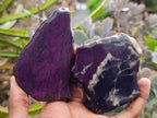 Polished One Side Metallic Purpurite Specimens x 6 From Erongo Namibia - Toprock Gemstones and Minerals 