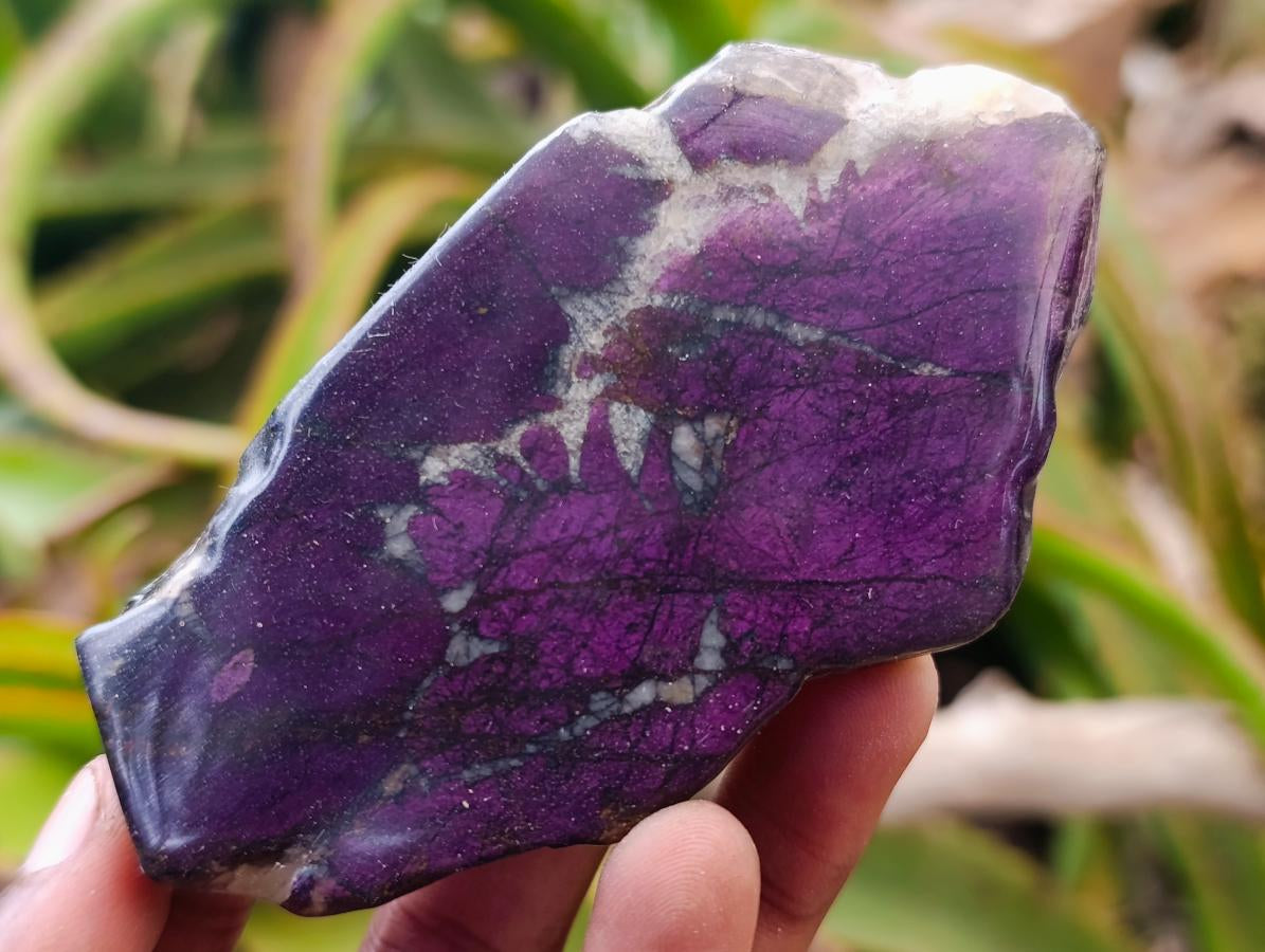 Polished One Side Metallic Purpurite Specimens x 6 From Erongo Namibia - Toprock Gemstones and Minerals 