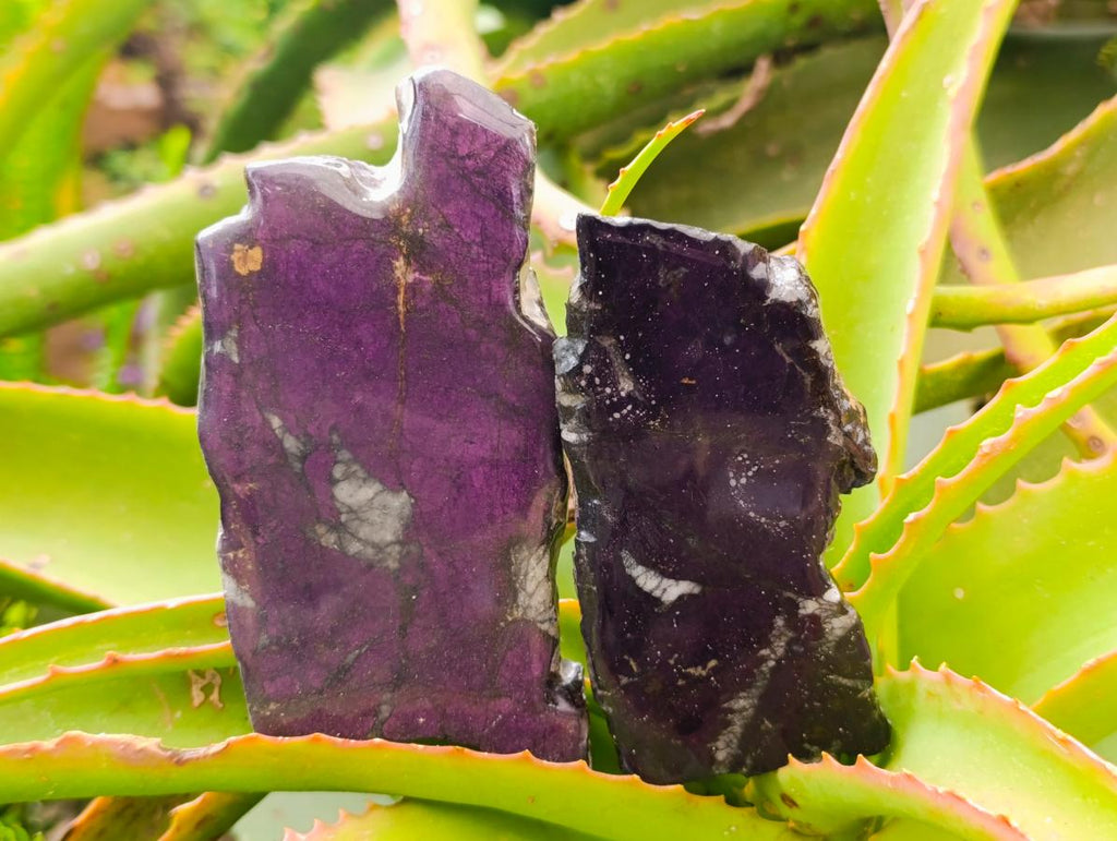 Polished One Side Metallic Purpurite Specimens x 6 From Erongo Namibia - Toprock Gemstones and Minerals 