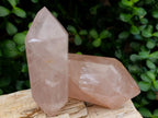 Polished Gemmy Rose Quartz Crystals x 6 From Madagascar - Toprock Gemstones and Minerals 