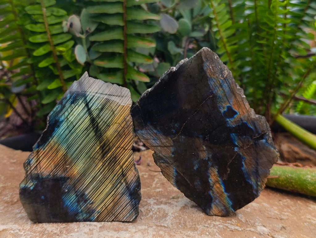 Polished One Side Labradorite Display Pieces x 6 From Madagascar - Toprock Gemstones and Minerals 
