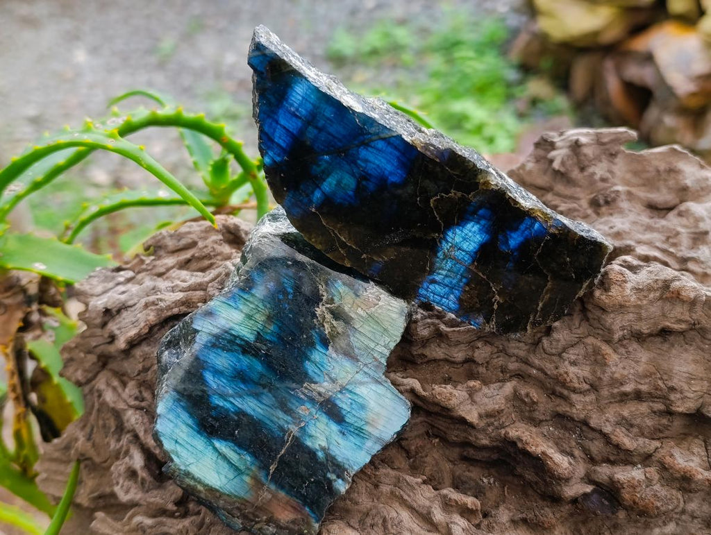 Polished One Side Labradorite Display Pieces x 6 From Madagascar - Toprock Gemstones and Minerals 