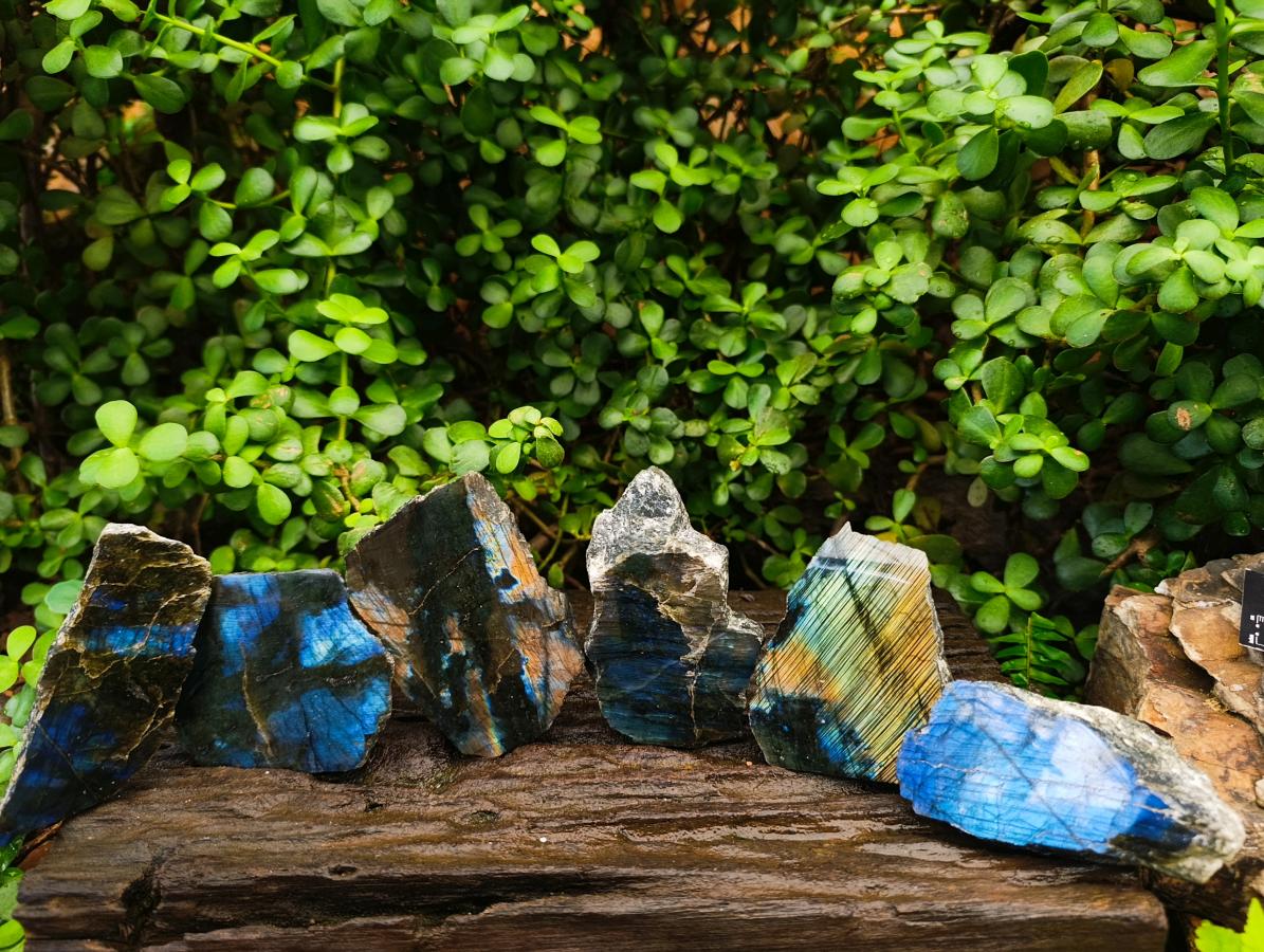 Polished One Side Labradorite Display Pieces x 6 From Madagascar - Toprock Gemstones and Minerals 