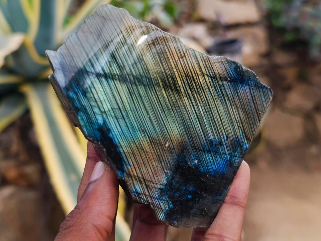 Polished One Side Labradorite Display Pieces x 6 From Madagascar - Toprock Gemstones and Minerals 