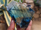 Polished One Side Labradorite Display Pieces x 6 From Madagascar - Toprock Gemstones and Minerals 
