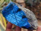 Polished One Side Labradorite Display Pieces x 6 From Madagascar - Toprock Gemstones and Minerals 