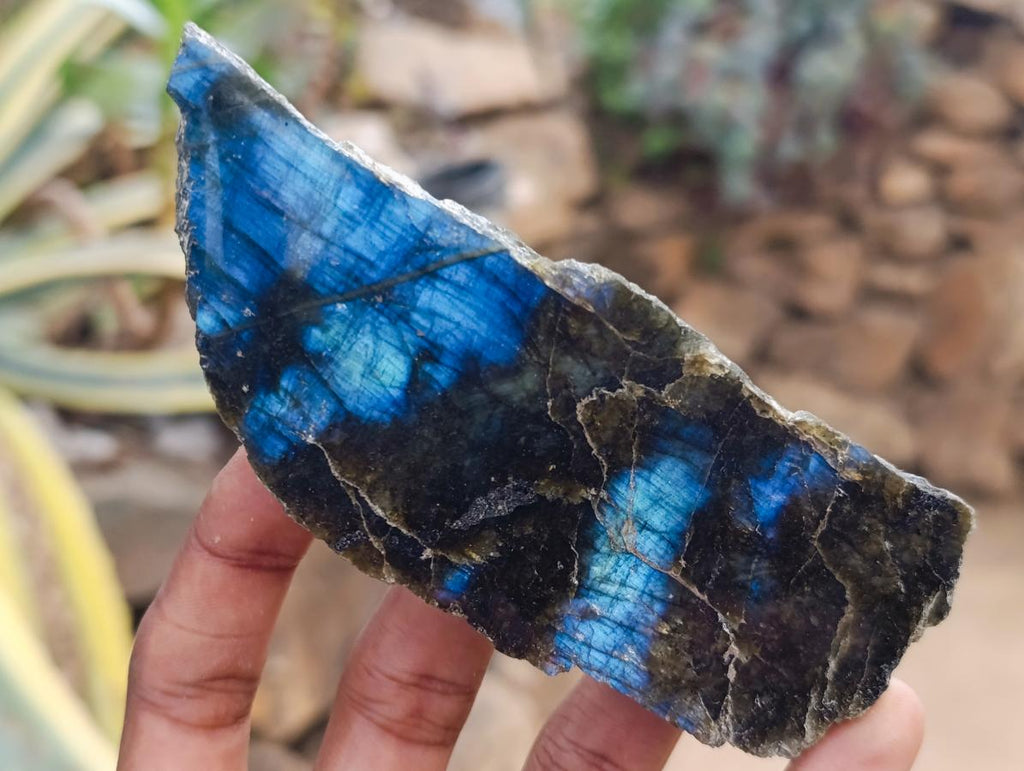 Polished One Side Labradorite Display Pieces x 6 From Madagascar - Toprock Gemstones and Minerals 