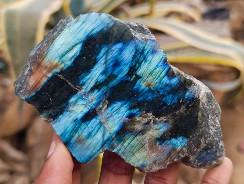 Polished One Side Labradorite Display Pieces x 6 From Madagascar - Toprock Gemstones and Minerals 