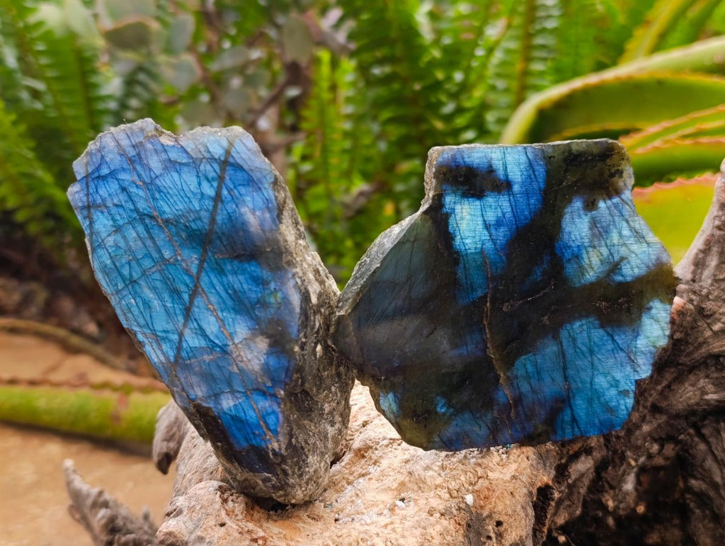 Polished One Side Labradorite Display Pieces x 6 From Madagascar - Toprock Gemstones and Minerals 