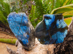 Polished One Side Labradorite Display Pieces x 6 From Madagascar - Toprock Gemstones and Minerals 