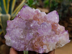 Natural Sunburst Amethyst Spirit Clusters x 2 From Boekenhouthoek, South Africa - Toprock Gemstones and Minerals 