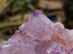 Natural Sunburst Amethyst Spirit Clusters x 2 From Boekenhouthoek, South Africa - Toprock Gemstones and Minerals 