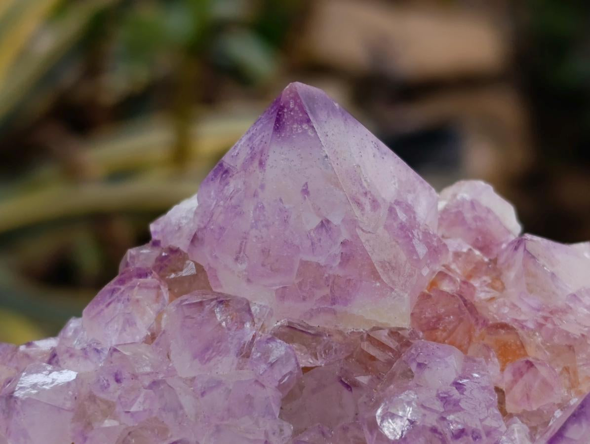 Natural Sunburst Amethyst Spirit Clusters x 2 From Boekenhouthoek, South Africa - Toprock Gemstones and Minerals 