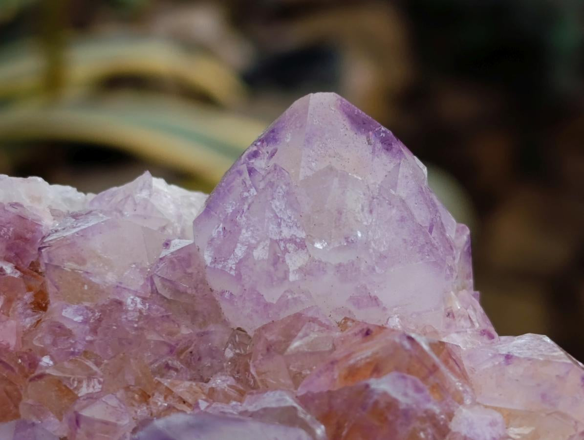 Natural Sunburst Amethyst Spirit Clusters x 2 From Boekenhouthoek, South Africa - Toprock Gemstones and Minerals 